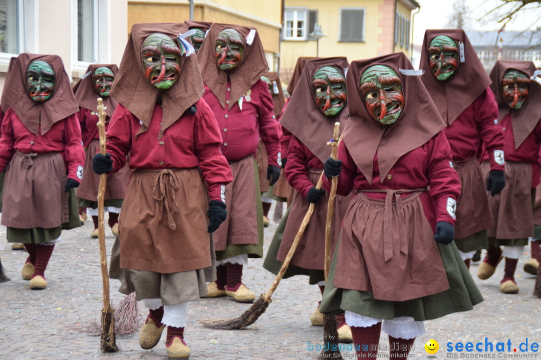 Fasnetsumzug - Fasching: Tettnang am Bodensee, 05.03.2019