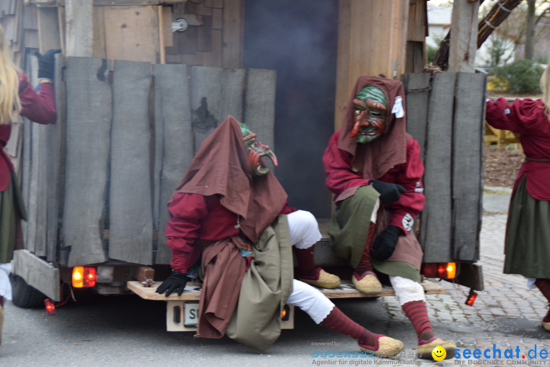 Fasnetsumzug - Fasching: Tettnang am Bodensee, 05.03.2019