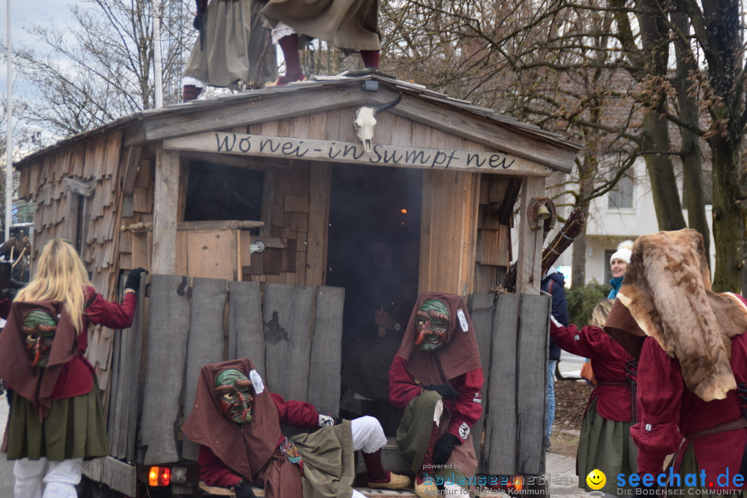 Fasnetsumzug - Fasching: Tettnang am Bodensee, 05.03.2019