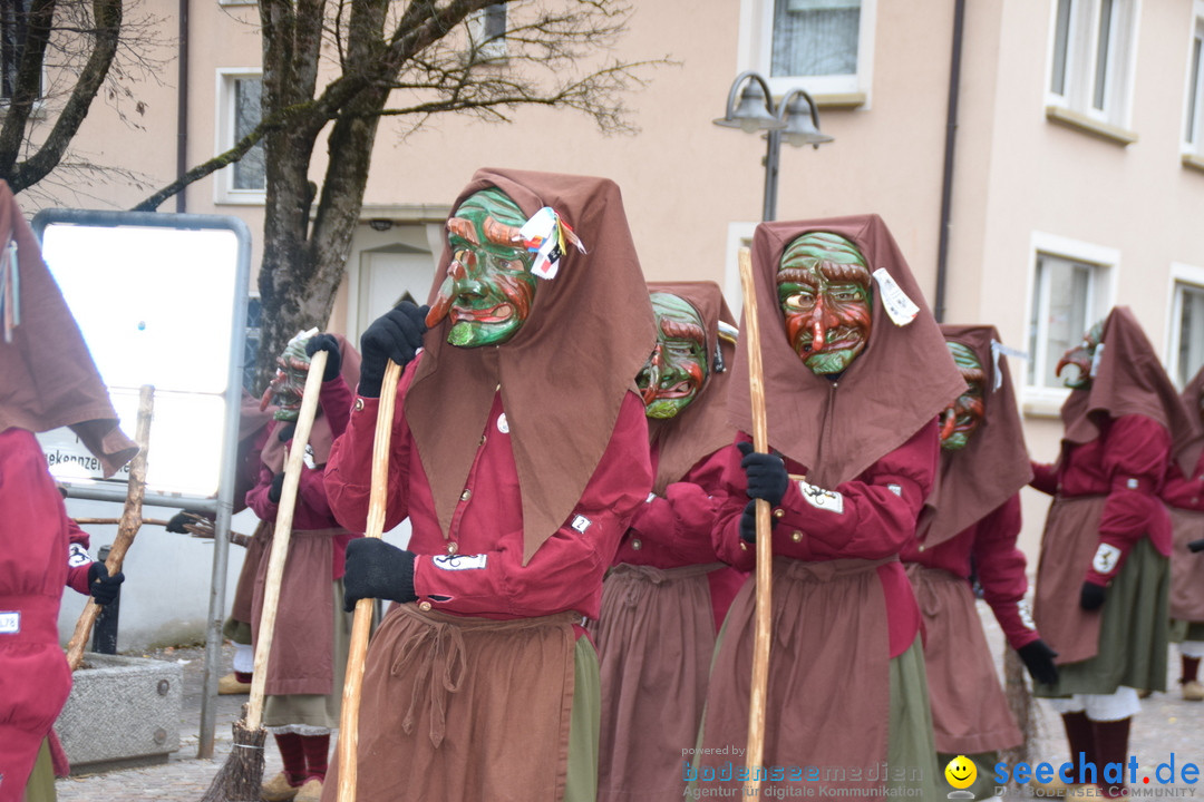 Fasnetsumzug - Fasching: Tettnang am Bodensee, 05.03.2019