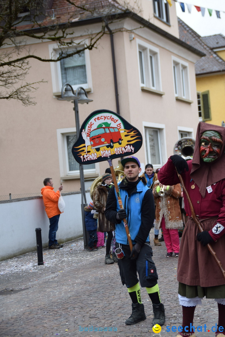 Fasnetsumzug - Fasching: Tettnang am Bodensee, 05.03.2019