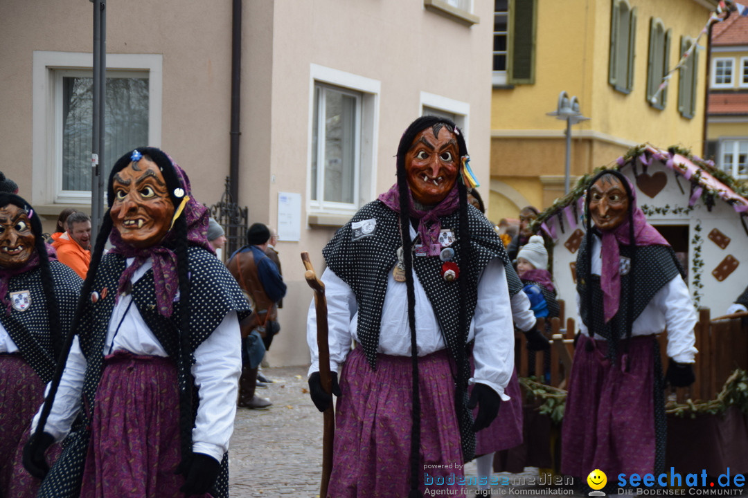 Fasnetsumzug - Fasching: Tettnang am Bodensee, 05.03.2019