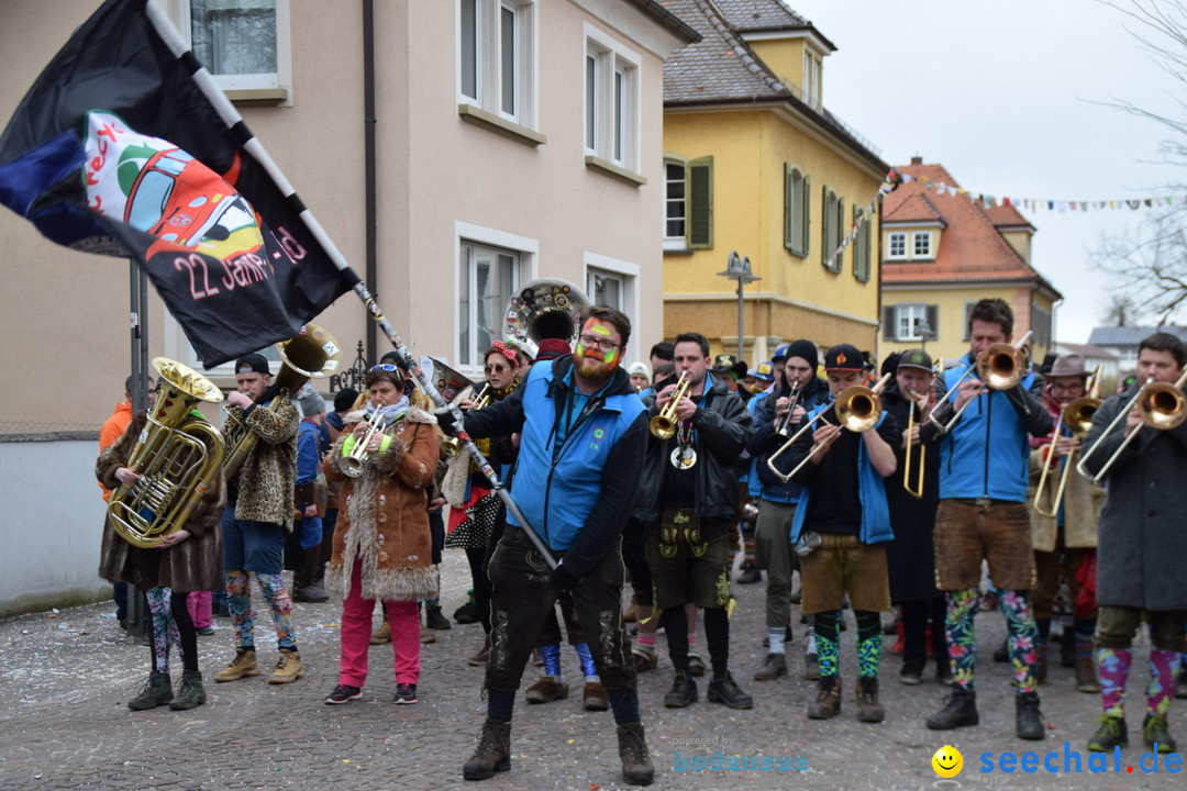 Fasnetsumzug - Fasching: Tettnang am Bodensee, 05.03.2019