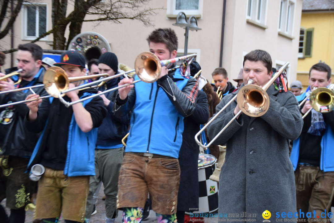 Fasnetsumzug - Fasching: Tettnang am Bodensee, 05.03.2019