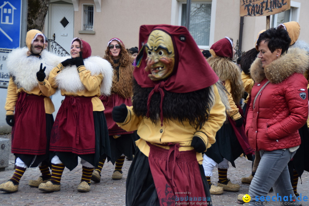 Fasnetsumzug - Fasching: Tettnang am Bodensee, 05.03.2019