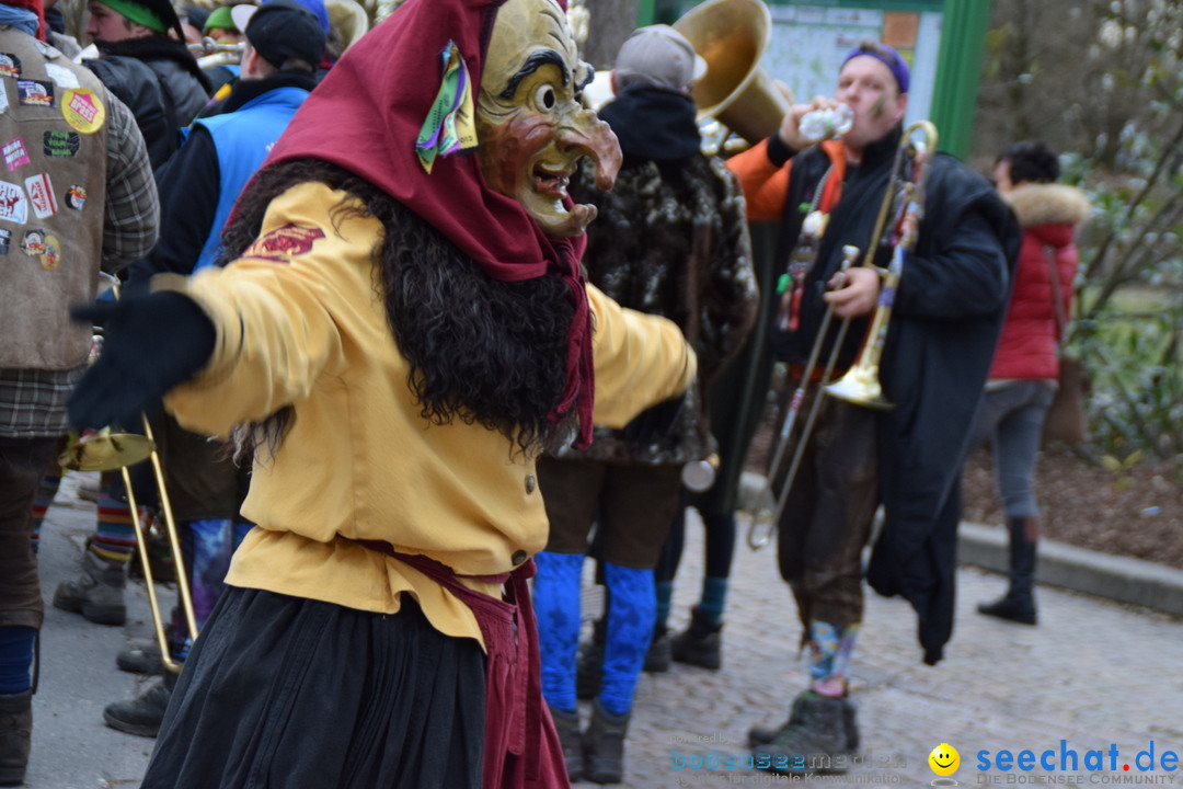 Fasnetsumzug - Fasching: Tettnang am Bodensee, 05.03.2019