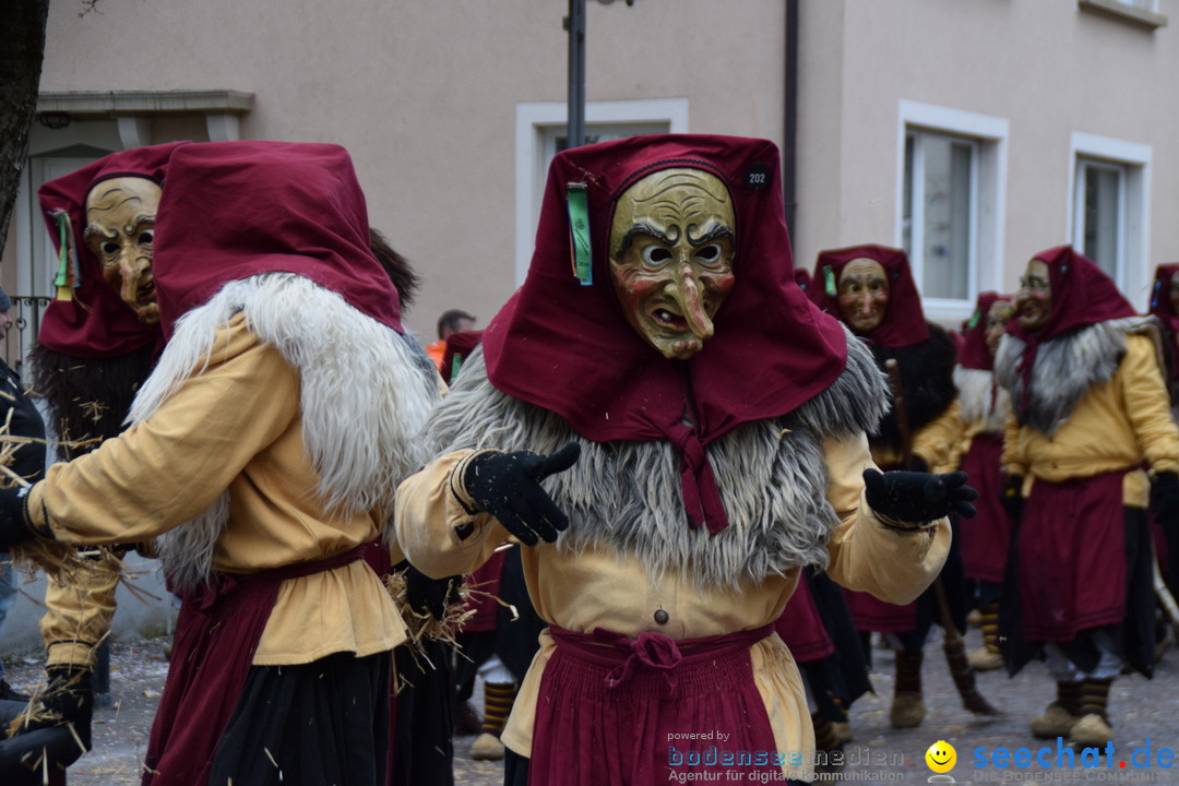 Fasnetsumzug - Fasching: Tettnang am Bodensee, 05.03.2019