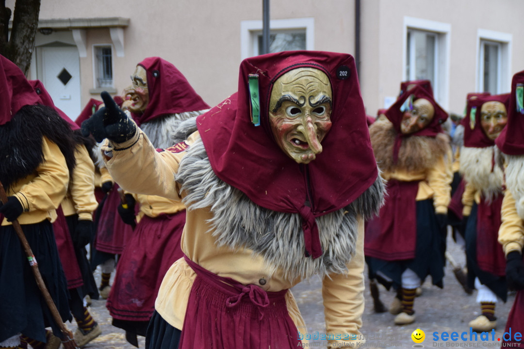 Fasnetsumzug - Fasching: Tettnang am Bodensee, 05.03.2019