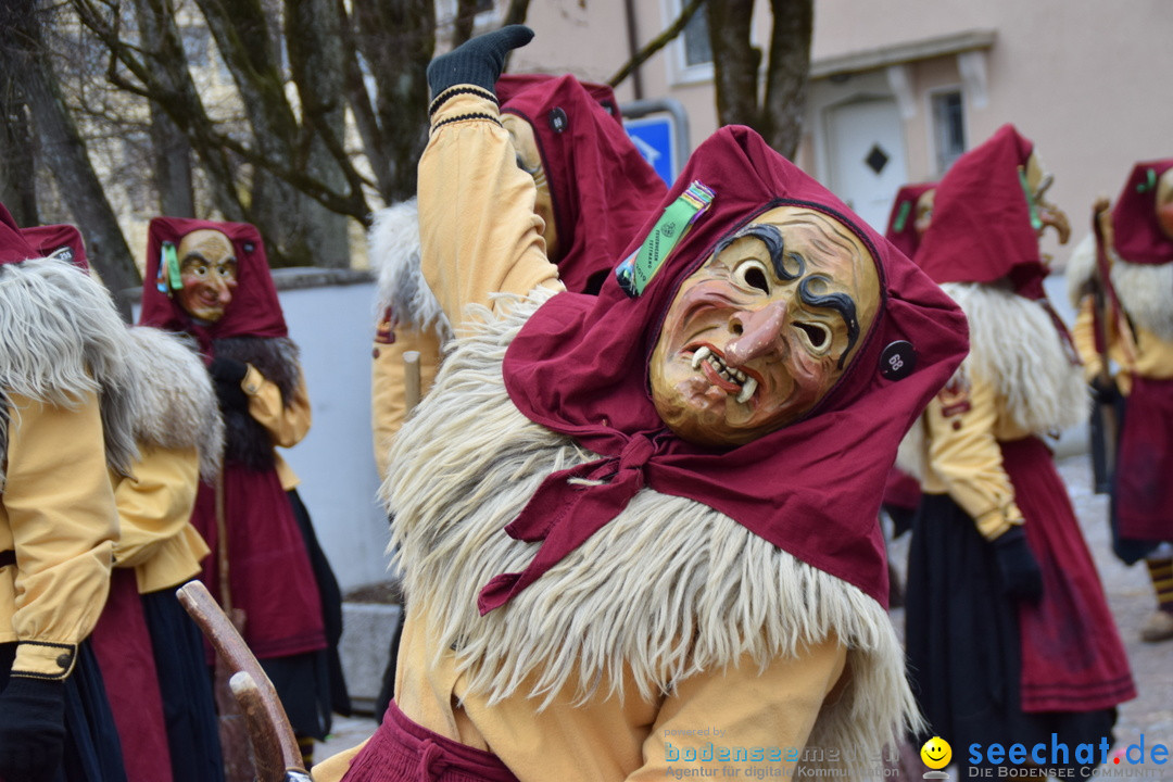 Fasnetsumzug - Fasching: Tettnang am Bodensee, 05.03.2019