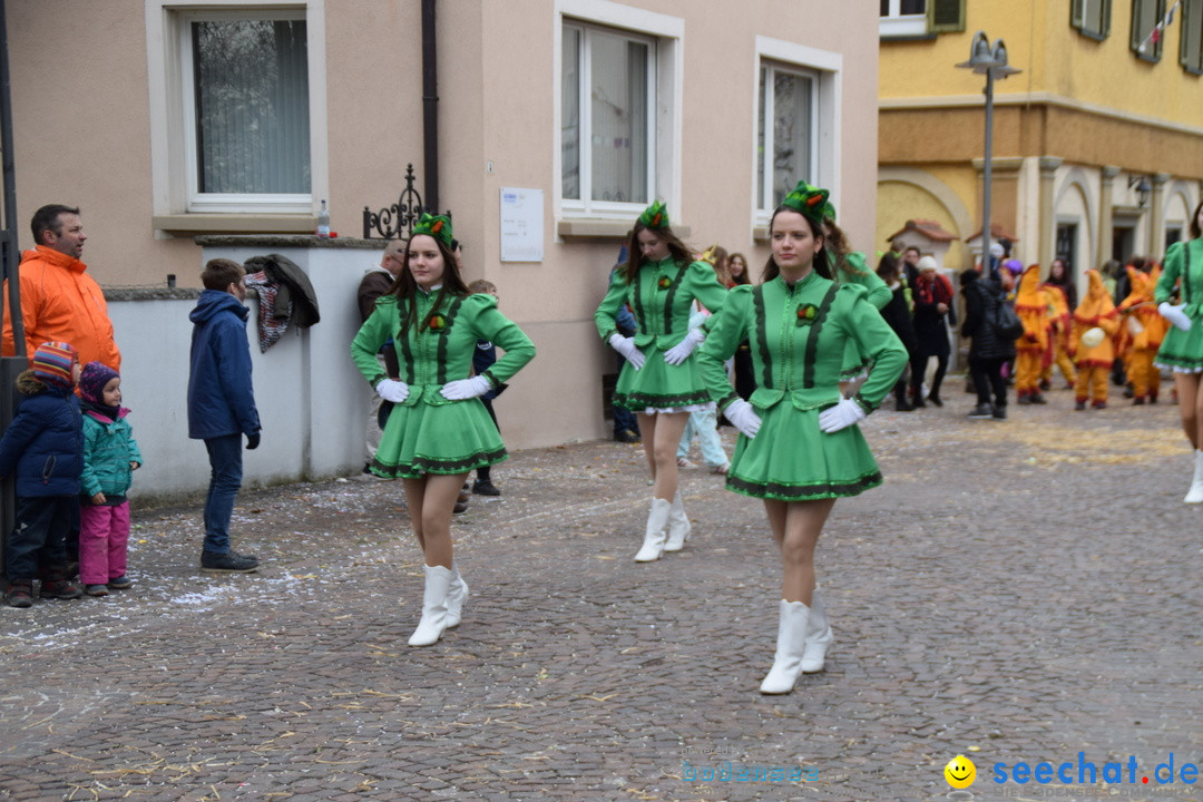 Fasnetsumzug - Fasching: Tettnang am Bodensee, 05.03.2019