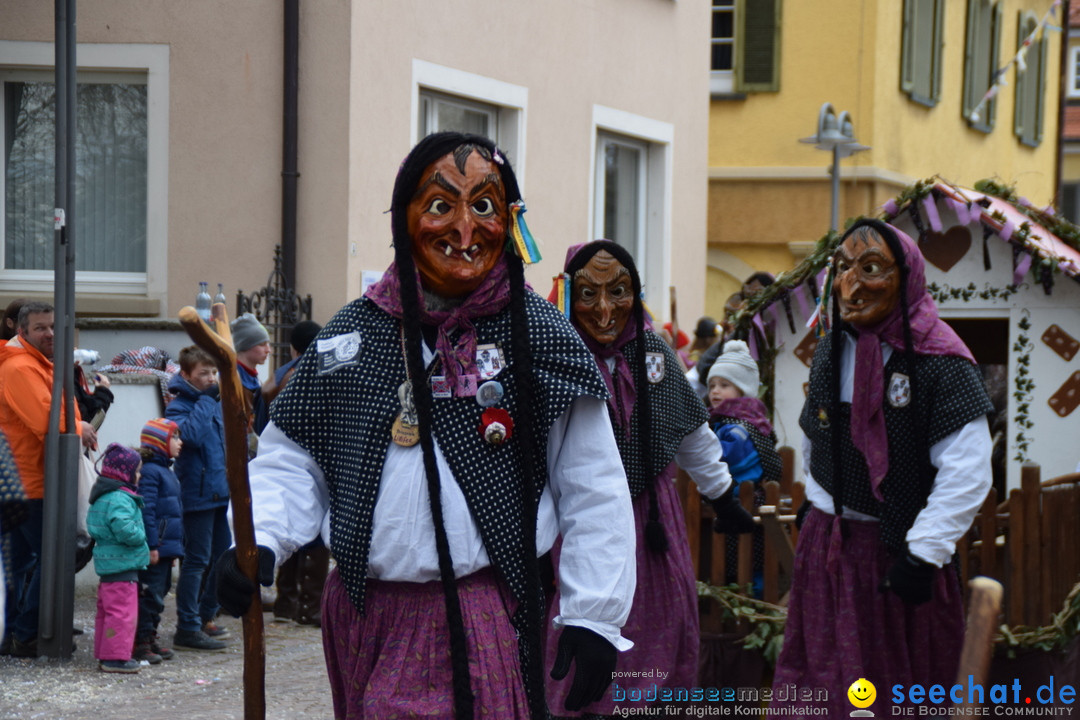 Fasnetsumzug - Fasching: Tettnang am Bodensee, 05.03.2019