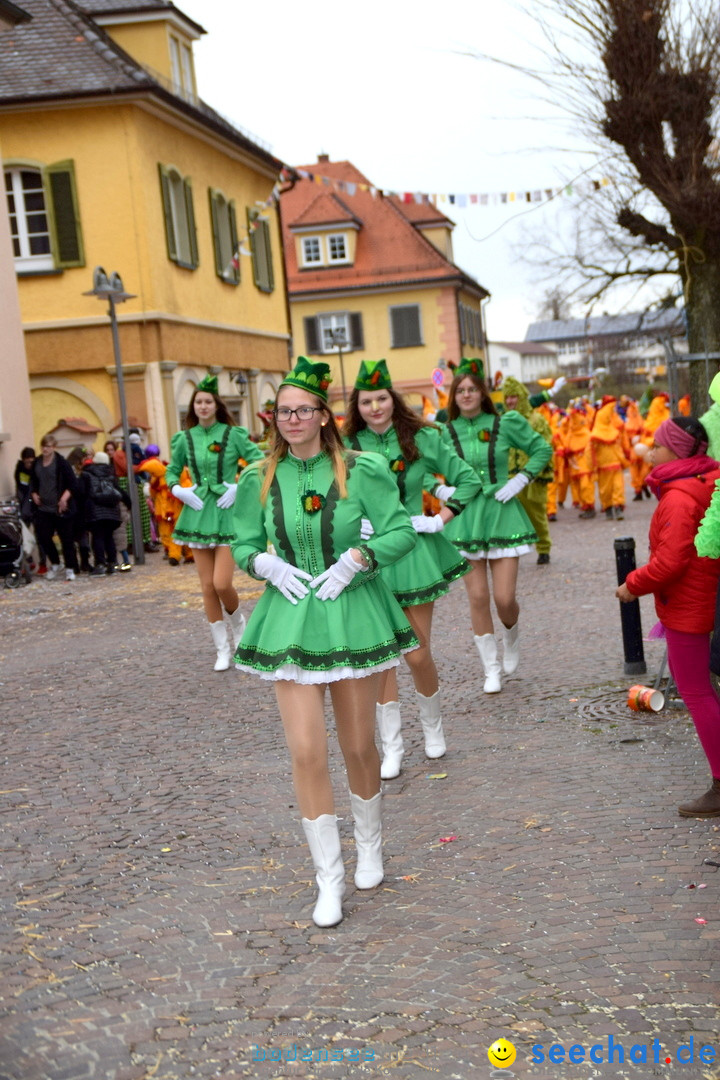 Fasnetsumzug - Fasching: Tettnang am Bodensee, 05.03.2019