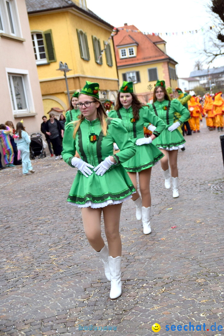 Fasnetsumzug - Fasching: Tettnang am Bodensee, 05.03.2019