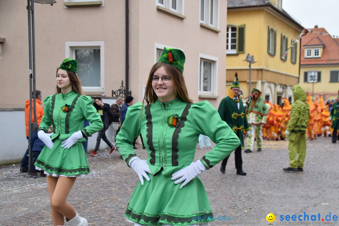 Fasnetsumzug - Fasching: Tettnang am Bodensee, 05.03.2019