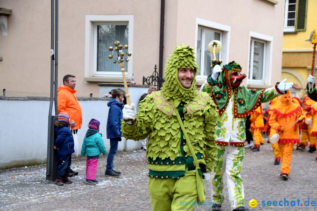 Fasnetsumzug - Fasching: Tettnang am Bodensee, 05.03.2019