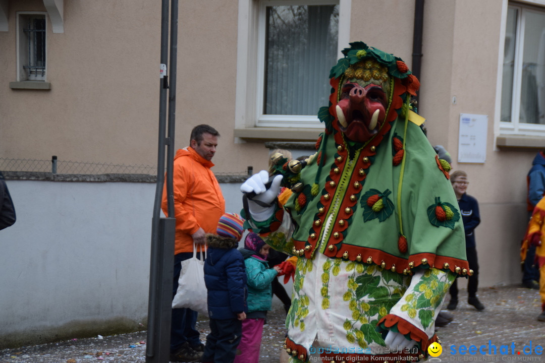 Fasnetsumzug - Fasching: Tettnang am Bodensee, 05.03.2019