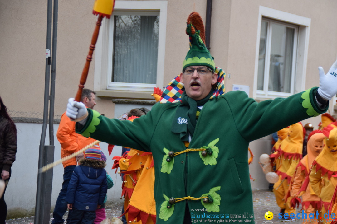 Fasnetsumzug - Fasching: Tettnang am Bodensee, 05.03.2019