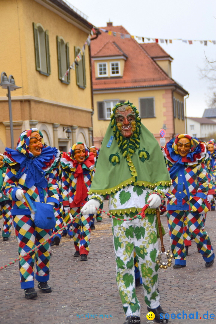 Fasnetsumzug - Fasching: Tettnang am Bodensee, 05.03.2019