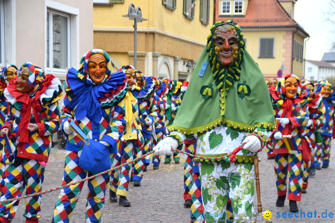 Fasnetsumzug - Fasching: Tettnang am Bodensee, 05.03.2019