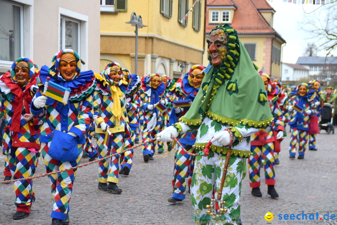 Fasnetsumzug - Fasching: Tettnang am Bodensee, 05.03.2019