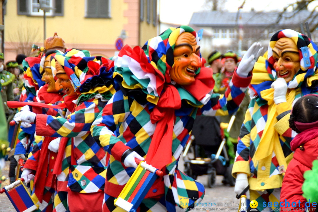 Fasnetsumzug - Fasching: Tettnang am Bodensee, 05.03.2019