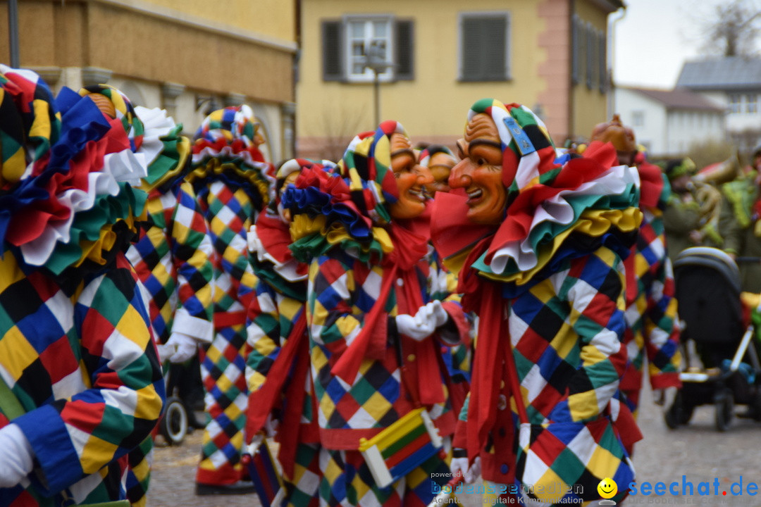 Fasnetsumzug - Fasching: Tettnang am Bodensee, 05.03.2019