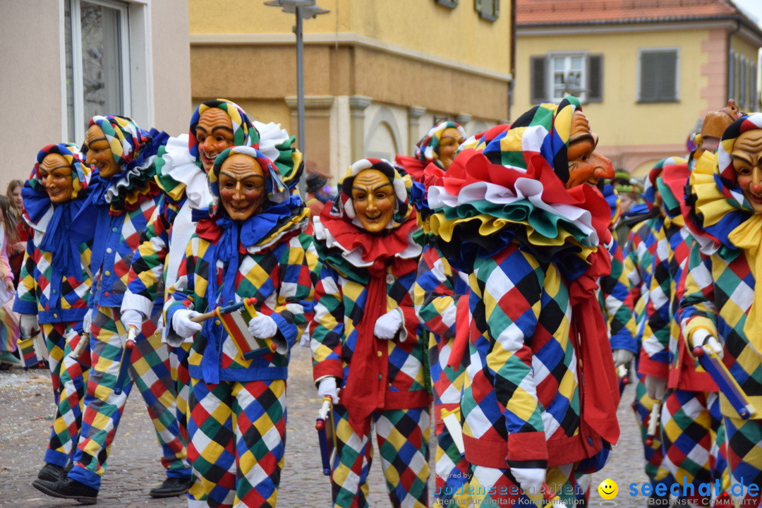 Fasnetsumzug - Fasching: Tettnang am Bodensee, 05.03.2019