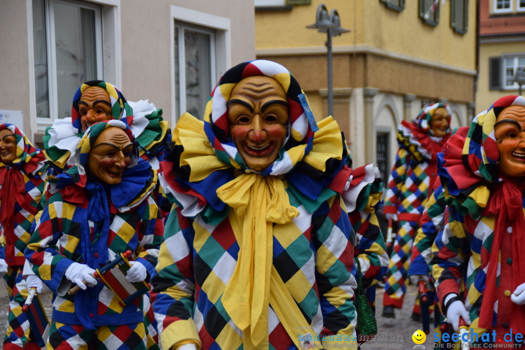 Fasnetsumzug - Fasching: Tettnang am Bodensee, 05.03.2019