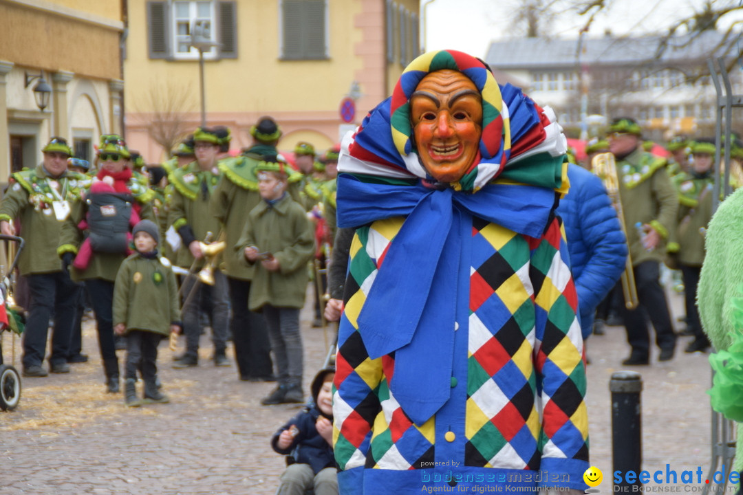 Fasnetsumzug - Fasching: Tettnang am Bodensee, 05.03.2019