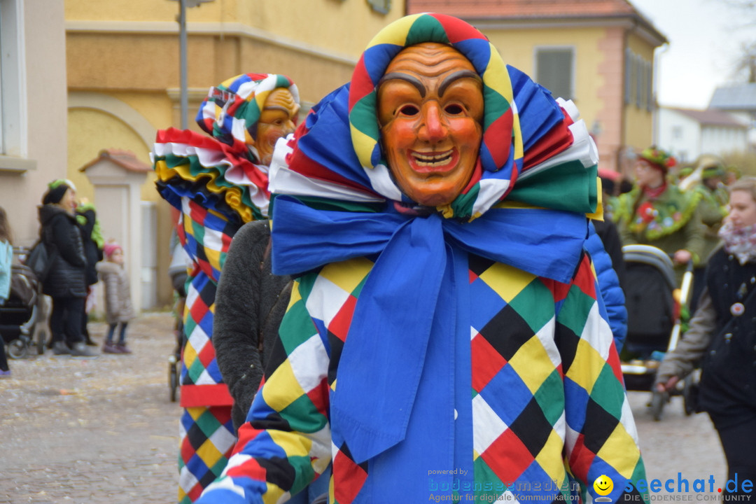 Fasnetsumzug - Fasching: Tettnang am Bodensee, 05.03.2019