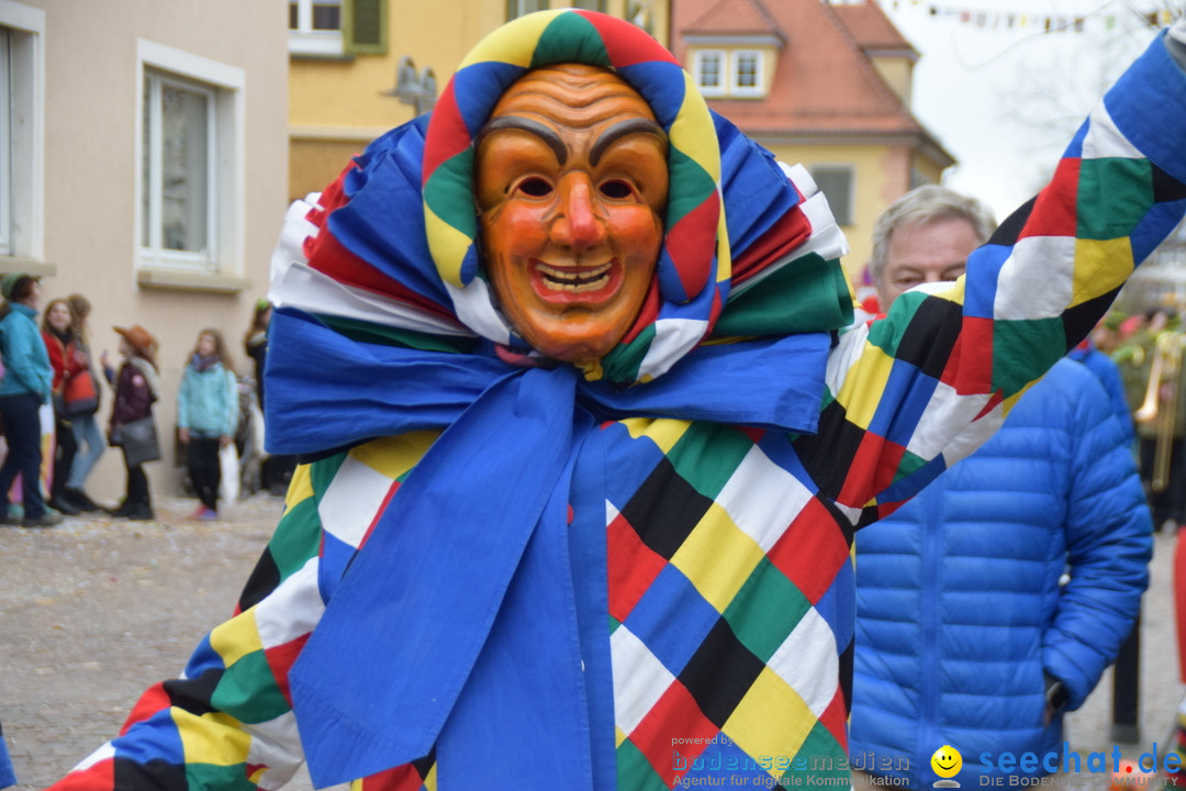 Fasnetsumzug - Fasching: Tettnang am Bodensee, 05.03.2019