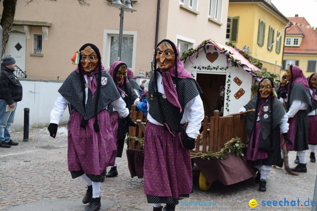 Fasnetsumzug - Fasching: Tettnang am Bodensee, 05.03.2019