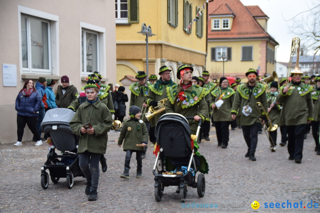 Fasnetsumzug - Fasching: Tettnang am Bodensee, 05.03.2019