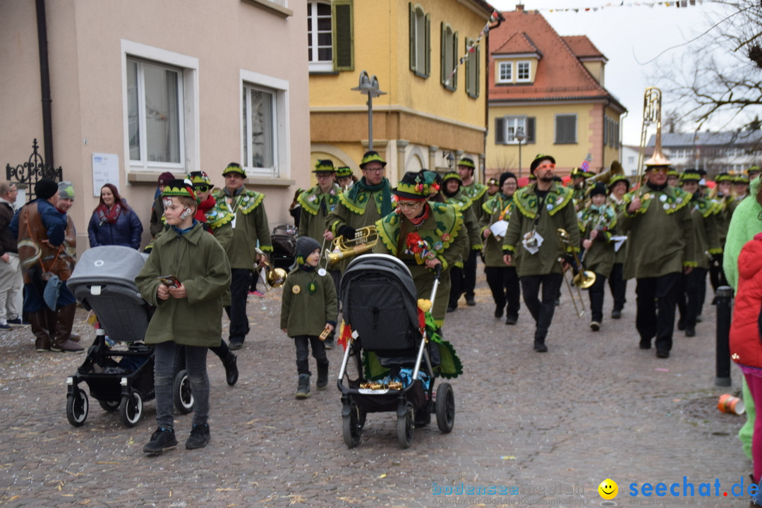 Fasnetsumzug - Fasching: Tettnang am Bodensee, 05.03.2019