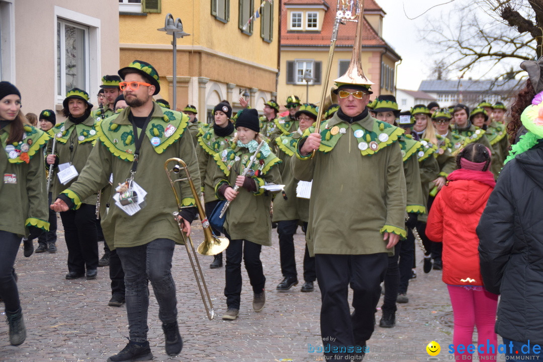 Fasnetsumzug - Fasching: Tettnang am Bodensee, 05.03.2019