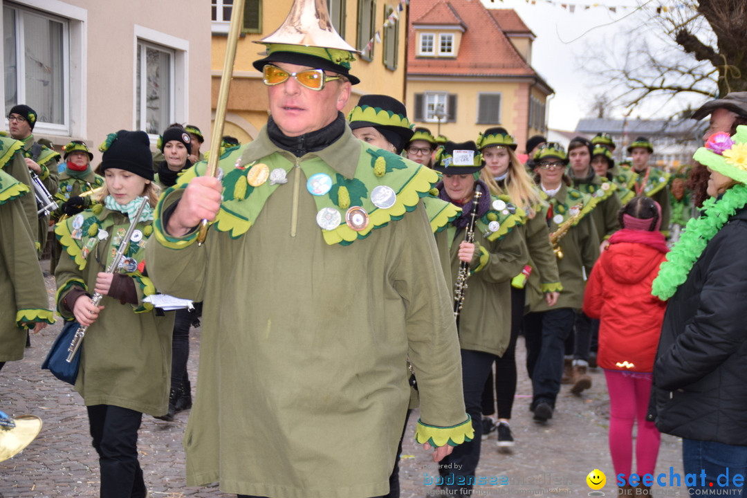 Fasnetsumzug - Fasching: Tettnang am Bodensee, 05.03.2019