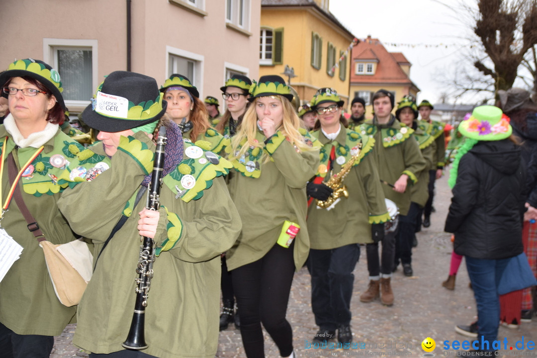 Fasnetsumzug - Fasching: Tettnang am Bodensee, 05.03.2019