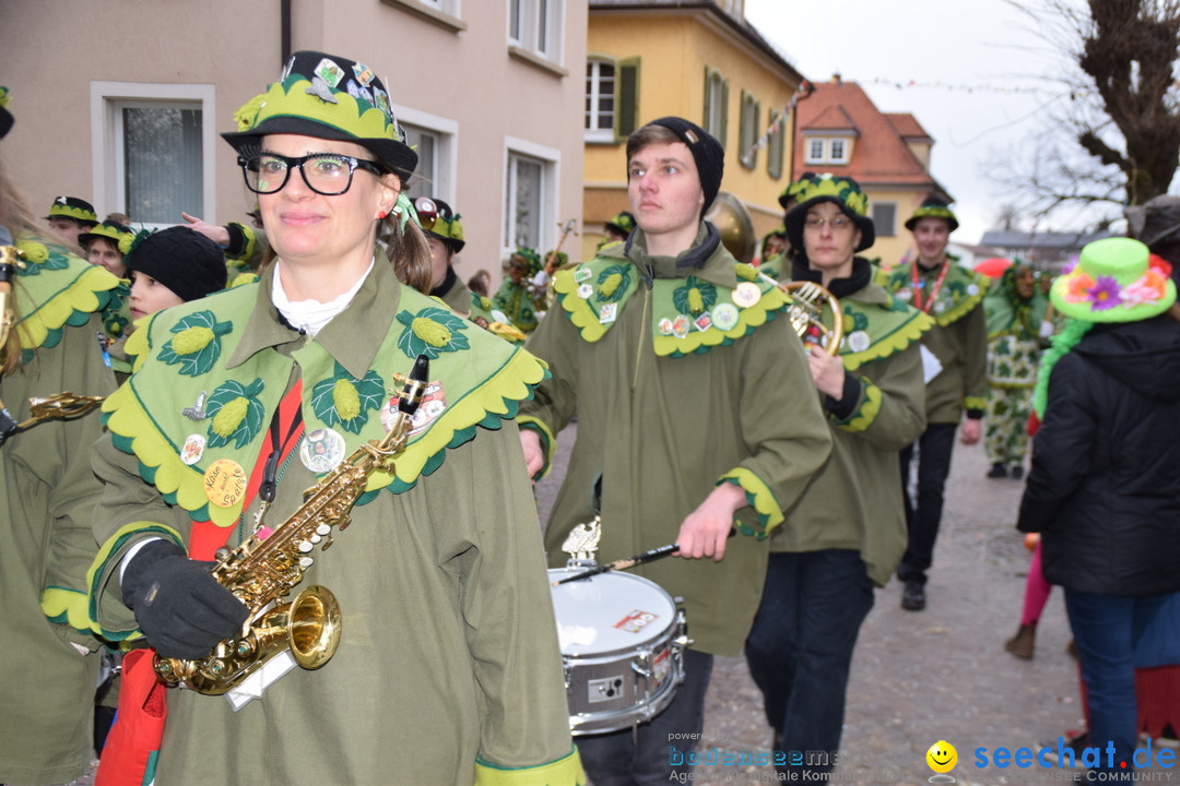 Fasnetsumzug - Fasching: Tettnang am Bodensee, 05.03.2019