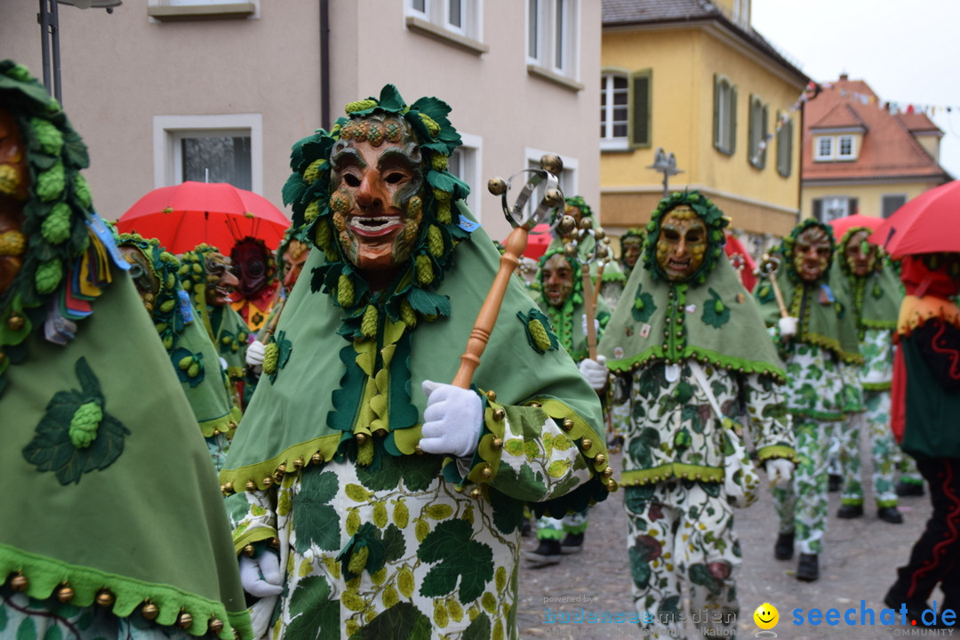 Fasnetsumzug - Fasching: Tettnang am Bodensee, 05.03.2019