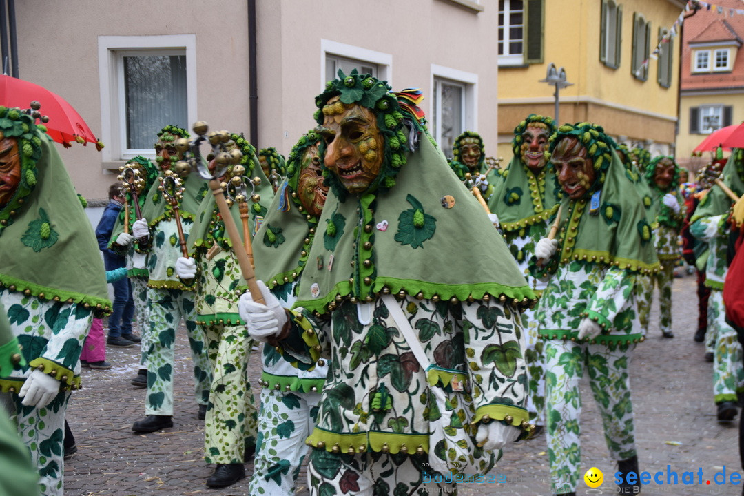 Fasnetsumzug - Fasching: Tettnang am Bodensee, 05.03.2019