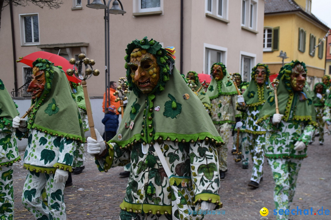 Fasnetsumzug - Fasching: Tettnang am Bodensee, 05.03.2019