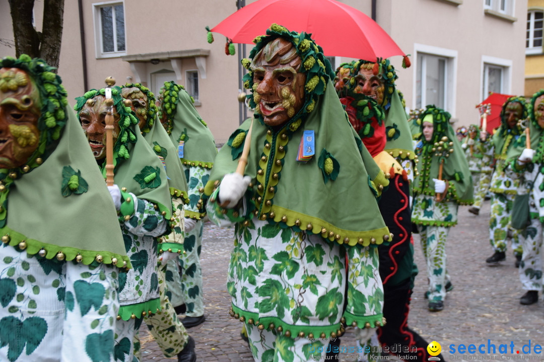 Fasnetsumzug - Fasching: Tettnang am Bodensee, 05.03.2019