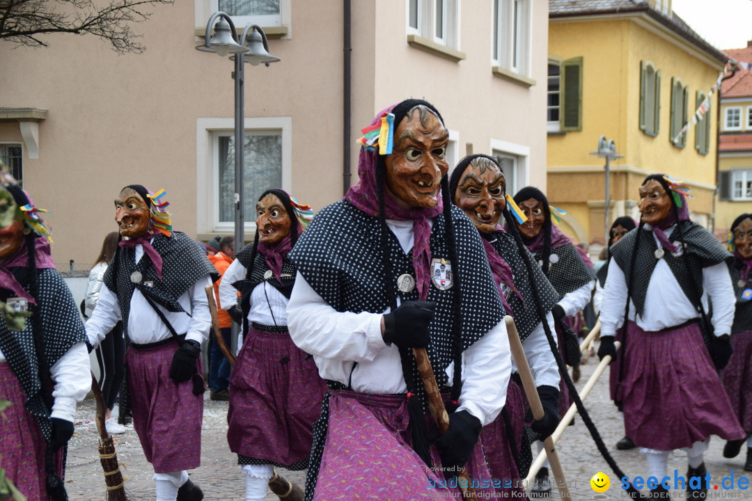 Fasnetsumzug - Fasching: Tettnang am Bodensee, 05.03.2019