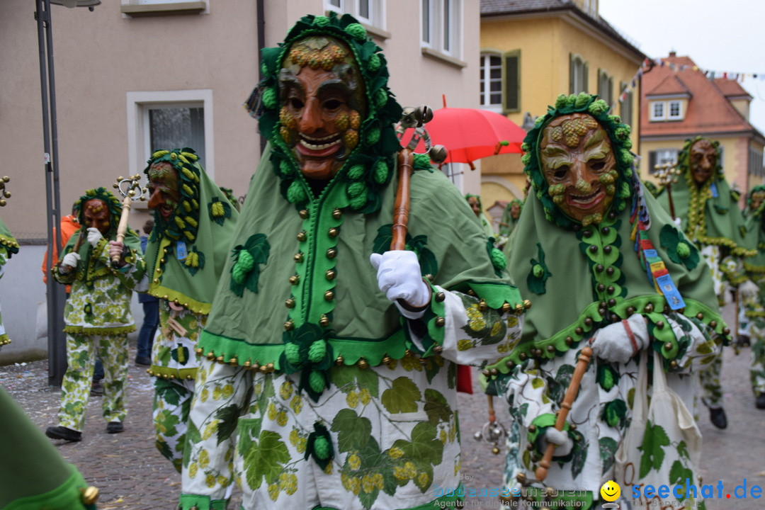 Fasnetsumzug - Fasching: Tettnang am Bodensee, 05.03.2019