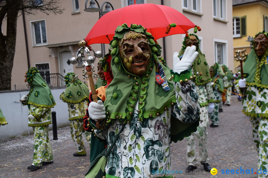 Fasnetsumzug - Fasching: Tettnang am Bodensee, 05.03.2019