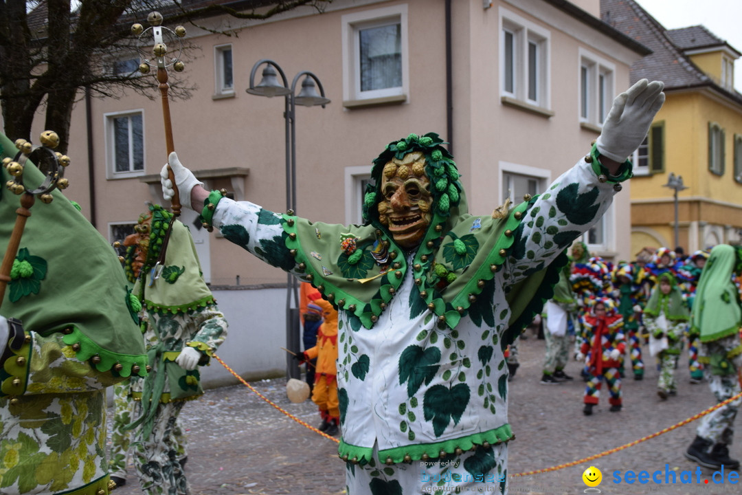 Fasnetsumzug - Fasching: Tettnang am Bodensee, 05.03.2019