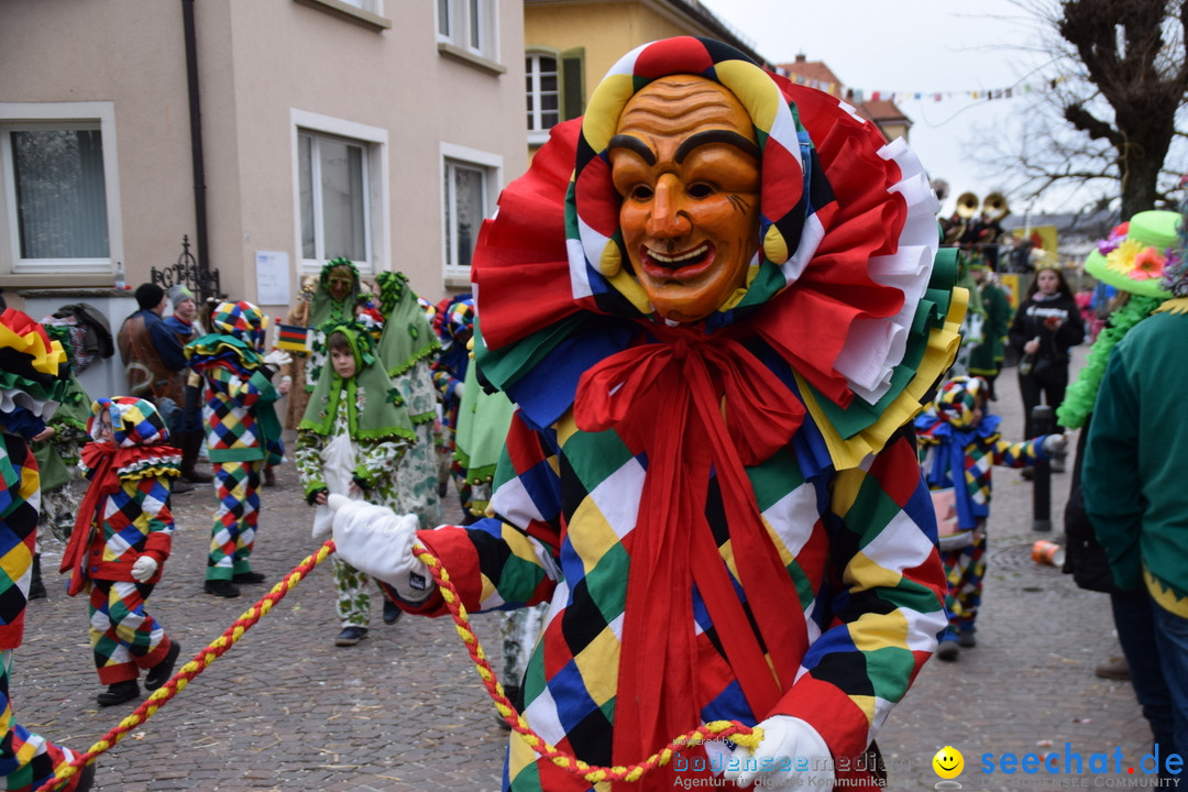 Fasnetsumzug - Fasching: Tettnang am Bodensee, 05.03.2019