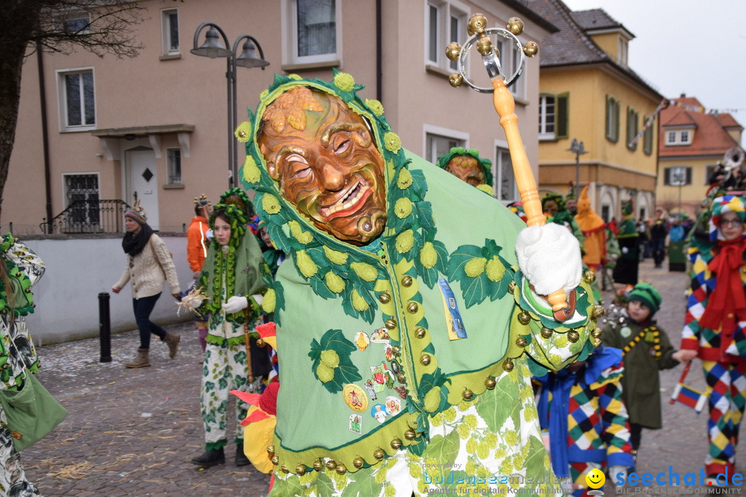 Fasnetsumzug - Fasching: Tettnang am Bodensee, 05.03.2019