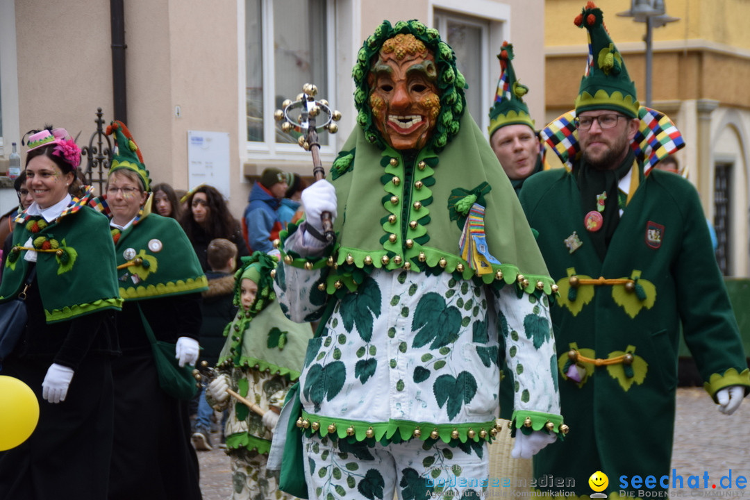 Fasnetsumzug - Fasching: Tettnang am Bodensee, 05.03.2019