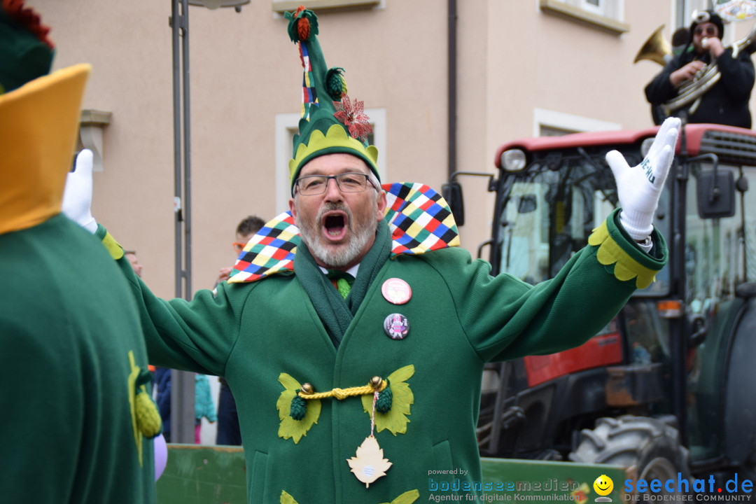 Fasnetsumzug - Fasching: Tettnang am Bodensee, 05.03.2019